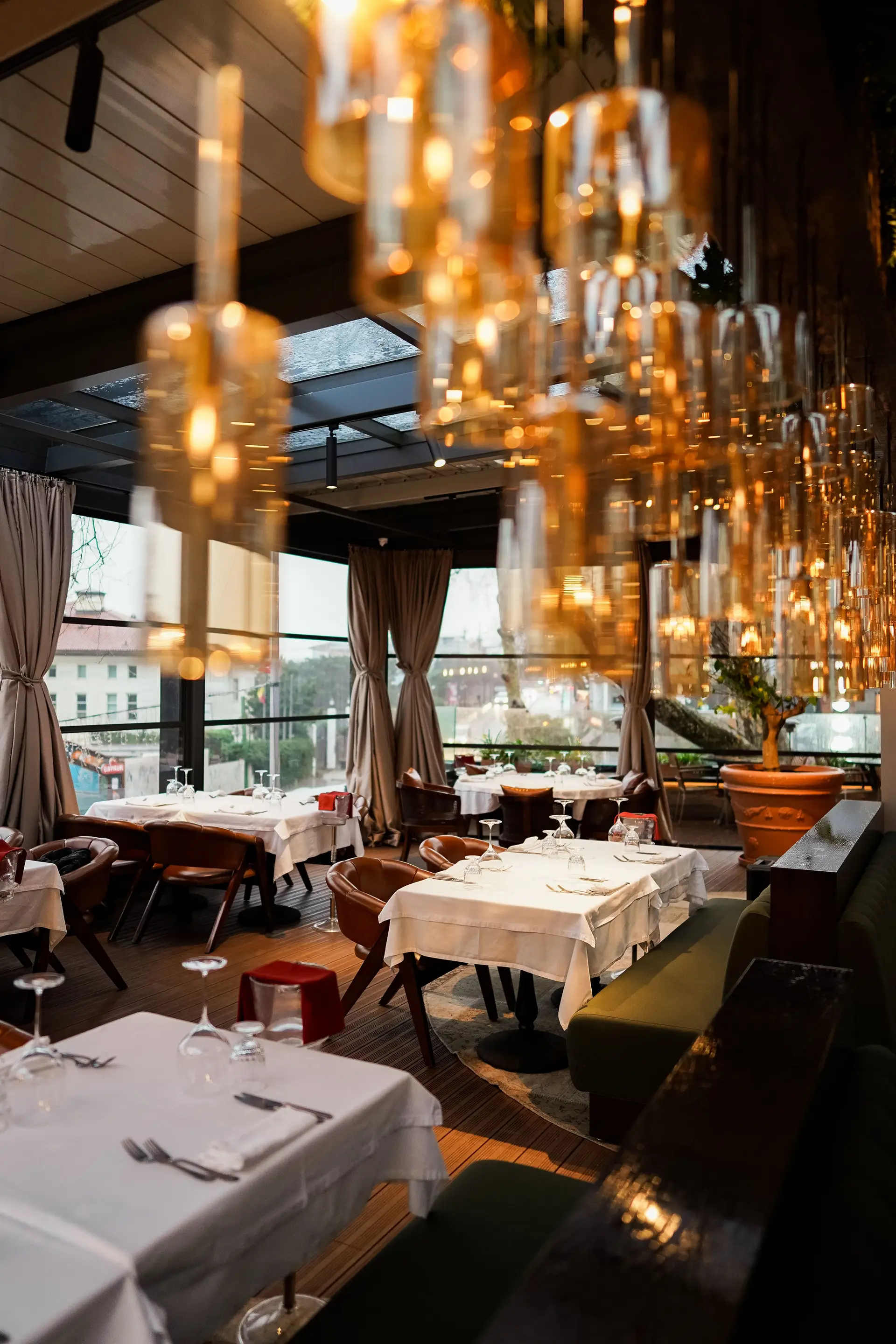Elegant Dining