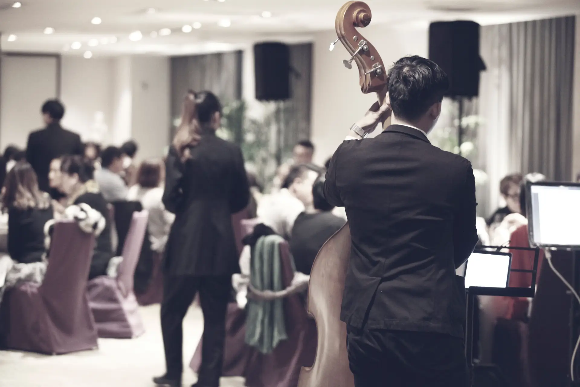 Live dinner event with double bass player